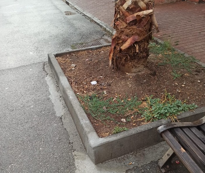 Pegli, riparate le aiuole sulla piazza della stazione