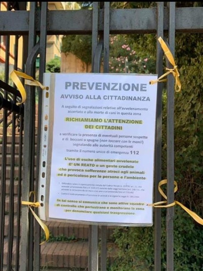 Bocconi avvelenati a Genova: avviso per cani morti a Sampierdarena