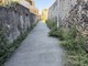 La via Antica Romana tra Multedo e Pegli invasa dall'erba infestante La via Antica Romana tra Multedo e Pegli invasa dall'erba infestante