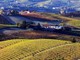 Vuoi organizzare una visita con degustazione in cantina? L’azienda agricola Ivaldi riapre le porte ai visitatori Vuoi organizzare una visita con degustazione in cantina? L’azienda agricola Ivaldi riapre le porte ai visitatori