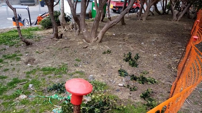 Gli amici a quattro zampe cercano uno spazio a Nervi Gli amici a quattro zampe cercano uno spazio a Nervi