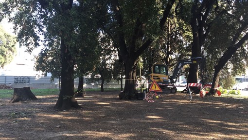 Immagine di repertorio