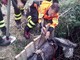 Voltri: asino cade in un pozzo, i pompieri lo salvano