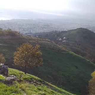 La Pro Loco di Apparizione aderisce alla campagna di Aism con le gardenie solidali