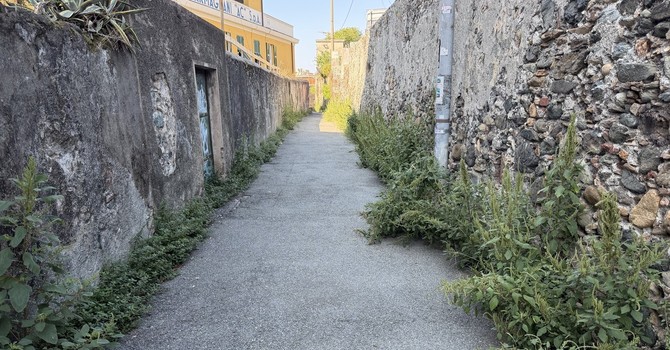 La via Antica Romana tra Multedo e Pegli invasa dall'erba infestante La via Antica Romana tra Multedo e Pegli invasa dall'erba infestante