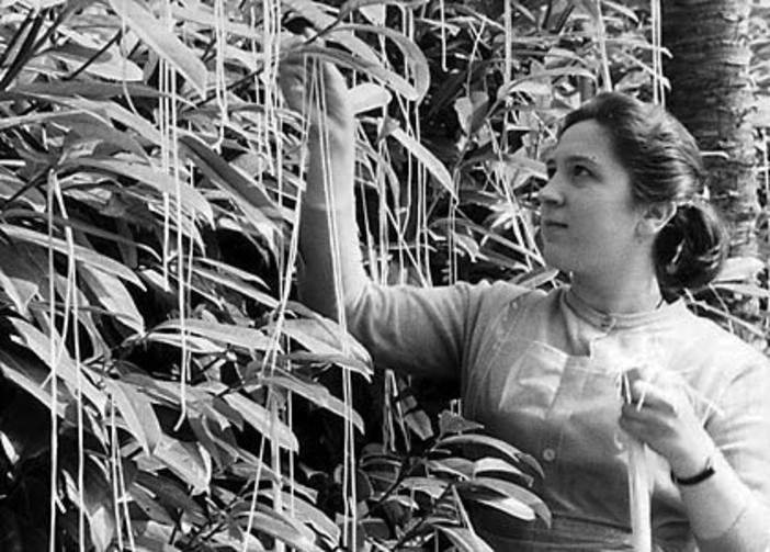 1° aprile tra scherzi e pesci di carta. Storia di un giorno di burle 1° aprile tra scherzi e pesci di carta. Storia di un giorno di burle