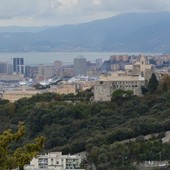 Bosco dei Frati, lavori da programmare e sentieri da sistemare: "Non sono in condizioni ottimali”