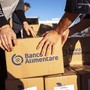 Banco Alimentare, trent’anni di solidarietà: il 12 settembre un Open Day per celebrare la storia dell’associazione