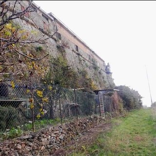 Il Municipio Centro Ovest approva un’area cani in zona Belvedere e Angeli a Sampierdarena