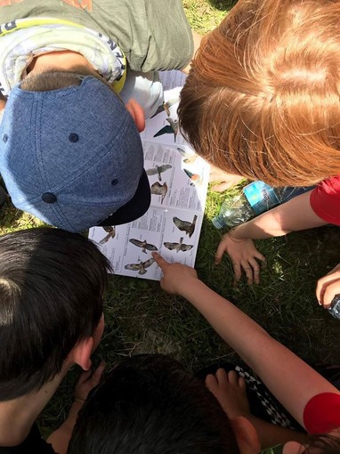 Fine settimana nel Beigua Geopark, tra biowatching e passeggiate sotto la luna