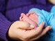 Prodotti dedicati ai neonati e informazioni sui servizi del Comune per le famiglie: le novità del Baby Kit 2022 (Video)