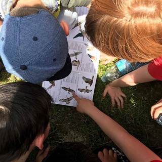 Fine settimana nel Beigua Geopark, tra biowatching e passeggiate sotto la luna