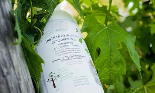 I prodotti a marchio BioDea per un'agricoltura sostenibile presentati nei prossimi eventi di settore a settembre I prodotti a marchio BioDea per un'agricoltura sostenibile presentati nei prossimi eventi di settore a settembre