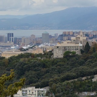 Il Bosco dei Frati sulle alture di San Fruttuoso