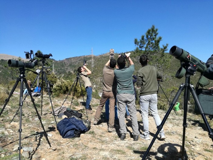 Birdwatching nel Beigua aspettando l'aquila dei serpenti Birdwatching nel Beigua aspettando l'aquila dei serpenti
