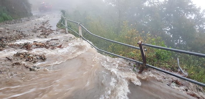 immagine di repertorio immagine di repertorio