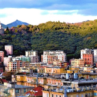 “Alberi della Liguria”, Mario Calbi protagonista all’Auditorium dell’Acquario di Genova