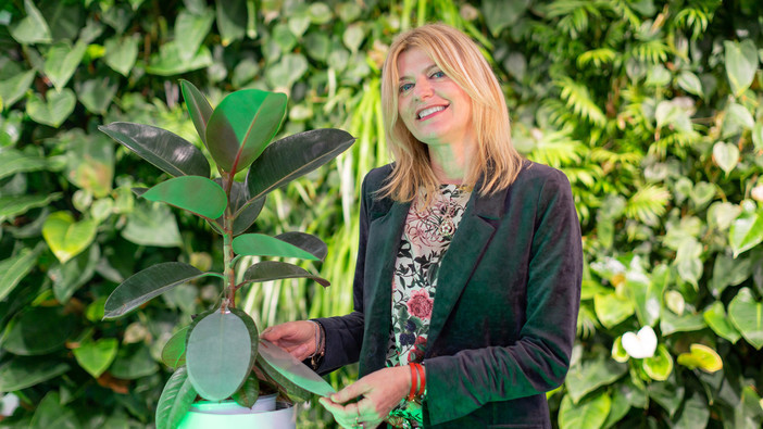 “C’è tutto un mondo sotto i nostri piedi!” con Barbara Mazzolai “C’è tutto un mondo sotto i nostri piedi!” con Barbara Mazzolai