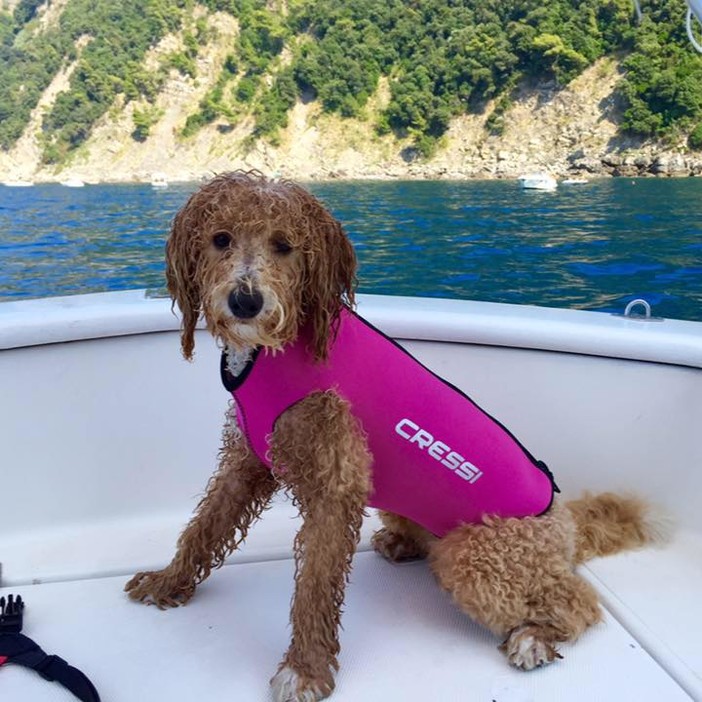 Emergenza coronavirus: la storica azienda Cressi chiude la sede di Genova