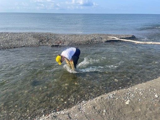 Goletta Verde, sei punti fuori dai limiti in Liguria: quattro sono “fortemente inquinati” Goletta Verde, sei punti fuori dai limiti in Liguria: quattro sono “fortemente inquinati”