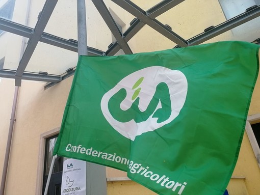 Superbonus 110%. Cia Liguria: le nuove soluzioni ipotizzate dal Governo rischiano di dimenticare l’entroterra Superbonus 110%. Cia Liguria: le nuove soluzioni ipotizzate dal Governo rischiano di dimenticare l’entroterra