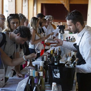 COCCO...WINE 2026! nella Riviera del Monferrato COCCO...WINE 2026! nella Riviera del Monferrato