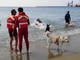 Voltri, i cani da salvataggio in azione sulla spiaggia