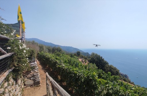 Gemellaggio Langhe-Cinque Terre per svolta green coi droni Gemellaggio Langhe-Cinque Terre per svolta green coi droni