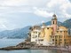 Camogli: un capriolo approfitta della spiaggia deserta e fa il bagno [VIDEO]