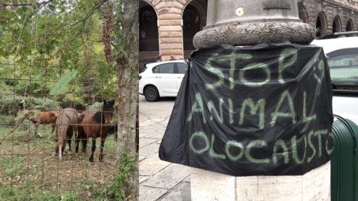 Cavalli selvaggi, la protesta a De Ferrari: “Stop animal Olocausto”
