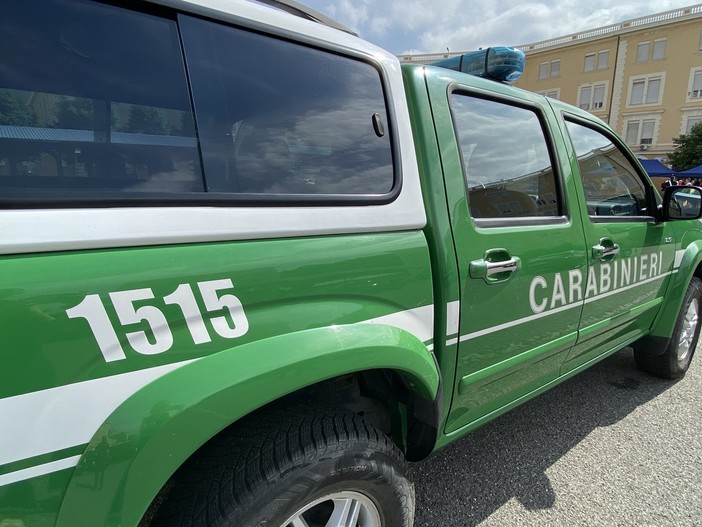 Regione Liguria, approvata convenzione con Arma dei Carabinieri per collaborazione contro incendi Regione Liguria, approvata convenzione con Arma dei Carabinieri per collaborazione contro incendi