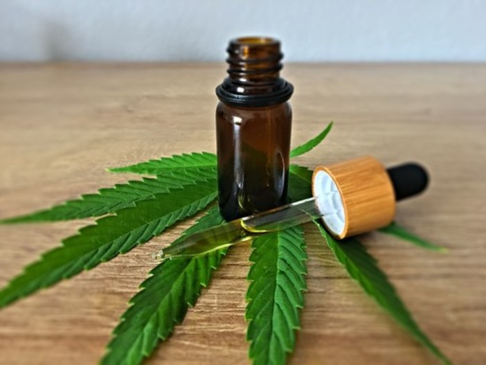 A cosa serve il CBD gatti? A cosa serve il CBD gatti?