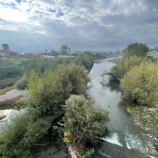 Chiavari, Orecchia: “Bisogna intervenire urgentemente per la pulizia del fiume Entella”