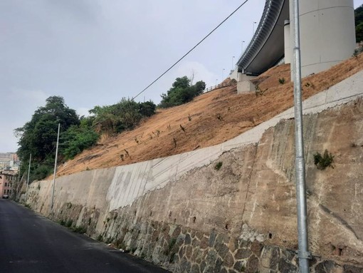 Le piogge d’autunno incombono su Campasso e zona sottostante: senza interventi il rischio alluvioni è molto elevato (FOTO) Le piogge d’autunno incombono su Campasso e zona sottostante: senza interventi il rischio alluvioni è molto elevato (FOTO)