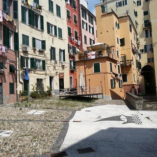 Il risseu di Campo Pisano torna al suo antico splendore, oggi l’inaugurazione ufficiale durante la commemorazione della Battaglia della Meloria