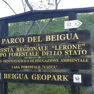 Parco del Beigua: finanziato progetto da 458.000 euro per le Foreste Demaniali