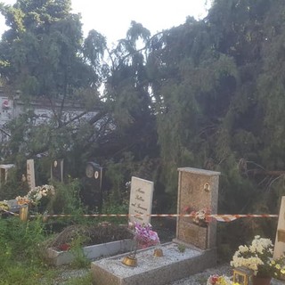 Pegli, il cimitero in condizioni disastrose