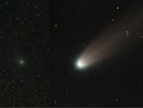 Le comete Swan e Lemmon nei cieli di Genova: lo spettacolo dell’ottobre astronomico Le comete Swan e Lemmon nei cieli di Genova: lo spettacolo dell’ottobre astronomico
