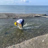 Goletta Verde, sei punti fuori dai limiti in Liguria: quattro sono “fortemente inquinati” Goletta Verde, sei punti fuori dai limiti in Liguria: quattro sono “fortemente inquinati”