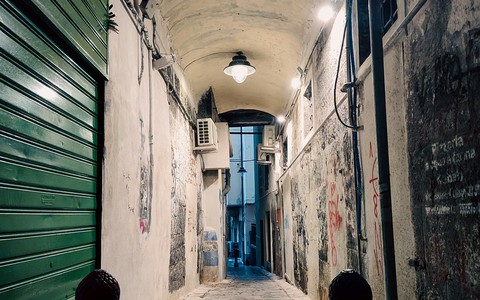 Centro storico, Pastorino chiede un piano straordinario. Ripamonti: "Interventi già potenziati, il Governo punta a rafforzare i servizi dedicati"