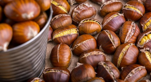 La castagnata della Pro loco di Sampierdarena per una domenica di speranza