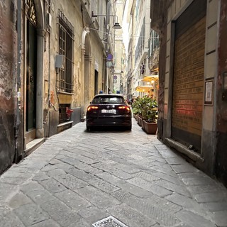 Centro Storico, ruba alcolici e aggredisce la vigilanza: arrestato 36enne