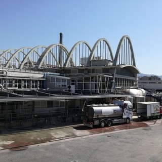 Centrale del Latte: accordo con il colosso cinese Alibaba