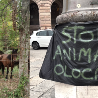 Cavalli selvaggi, la protesta a De Ferrari: “Stop animal Olocausto”