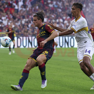 Lorenzo Colombo dovrebbe ancora guidare lui l'attacco rossoblù dall'inizio (foto Gabriele Siri)