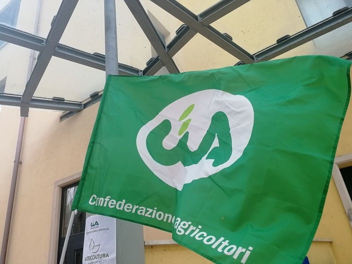 Covid, Cia Liguria: "Cambiare il metodo di comunicazione delle zone di appartenenza"