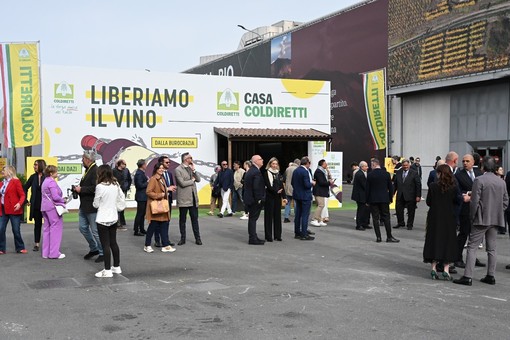 Vinitaly 2026: Coldiretti Liguria, liberare il vino da burocrazia e dazi è strategico per un settore di nicchia