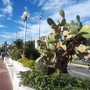 Scolmatore del Bisagno, corso Italia chiude dal 12 al 19 ottobre: al via il taglio dei pilastri della struttura storica Scolmatore del Bisagno, corso Italia chiude dal 12 al 19 ottobre: al via il taglio dei pilastri della struttura storica