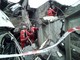 Crollo ponte: interrotti i lavori nell'alveo del Polcevera