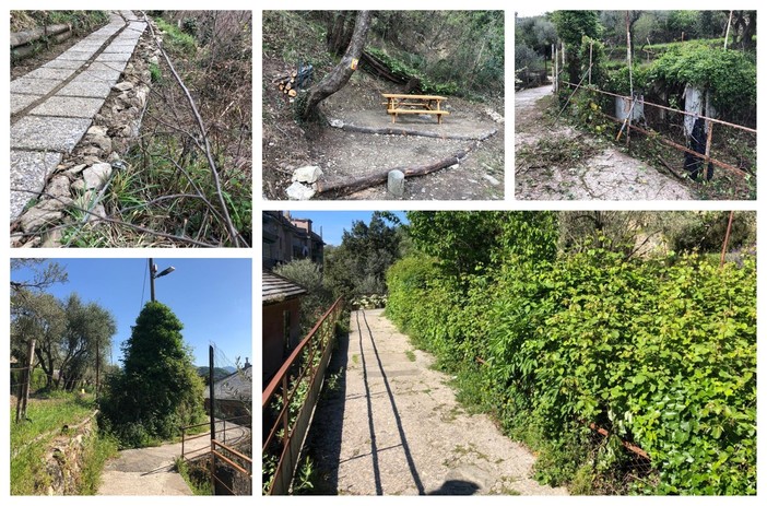 L'Acquedotto storico di Genova rinasce grazie ai volontari (FOTO) L'Acquedotto storico di Genova rinasce grazie ai volontari (FOTO)